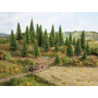 25x sapins 5 -14 cm - HO-TT - NOCH 26825