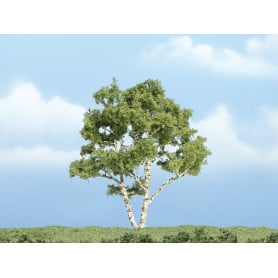 Bouleau 9,84 cm - Arbre premium - HO-1/87 - WOODLAND SCENICS - TR1601