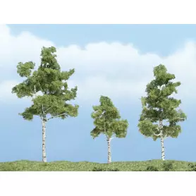 3x bouleau à papier 3,81 - 6,98 cm - Arbre premium - HO-1/87 - WOODLAND SCENICS - TR1605