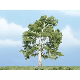 Sycamore 9,84 cm - Arbre premium - HO-1/87 - WOODLAND SCENICS - TR1609