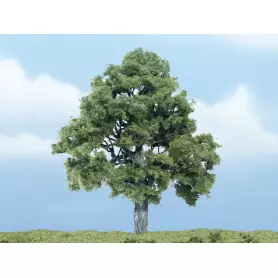 Hêtre 10,1 cm - Arbre premium - HO-1/87 - WOODLAND SCENICS - TR1615