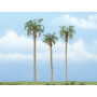 3x palmier royal 7,62-10,1-11,4 cm - Arbre premium - HO-1/87 - WOODLAND SCENICS - TR1617