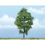 Noyer blanc (Hickory ) 13,6 cm - Arbre premium - HO-1/87 - WOODLAND SCENICS - TR1623