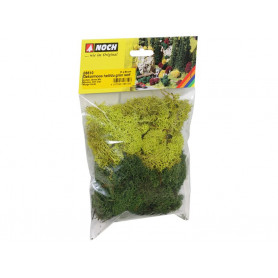 Mousse lichen vert 35g - toutes échelles - NOCH 08610