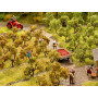 Plantation de 12x pommiers - HO 1/87 - NOCH 21532