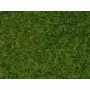 Herbe sauvage vert clair 6 mm 50g - toutes échelles - NOCH 07102