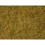 Herbe sauvage beige 6 mm 50g - toutes échelles - NOCH 07101