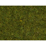 Herbe des prés 2,5mm 100g - toutes échelles - NOCH 50220