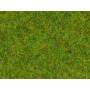 Herbe des prés printemps 2,5mm 100g - toutes échelles - NOCH 50210
