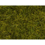 Herbe sauvage prairie 12 mm XL 40g - HO 1/87 - NOCH 07110