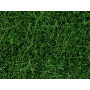Herbe sauvage vert foncé 6 mm 50g - HO 1/87 - NOCH 07106