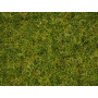 Mélange gazon 2,5-6 mm 50g - HO 1/87 - NOCH 07072