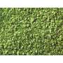 Flocage feuille vert clair 50g - toutes échelles - NOCH 07142
