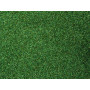 Flocage vert 42g - toutes échelles - NOCH 08420