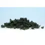 Petits buissons vert foncé - Underbrush Woodland Scenics FC1637
