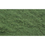 Sachet pollen fleurs vert - Woodland Scenics T4644