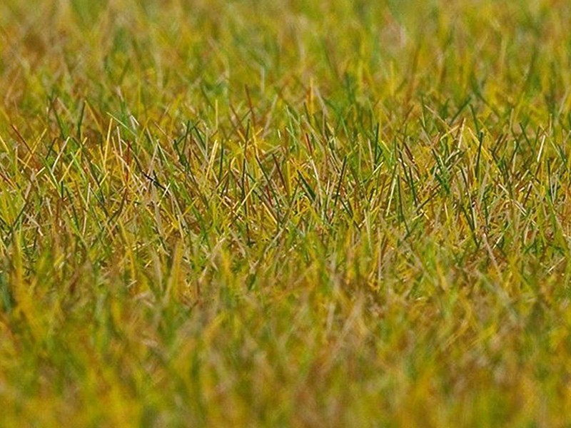 Flocage fibres PREMIUM vert clair 6mm toutes échelles - Faller 180484