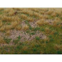 Plaque de terrain diorama Sol de Forêt de pins 23x13 cm - 1/35 - MIG 8352