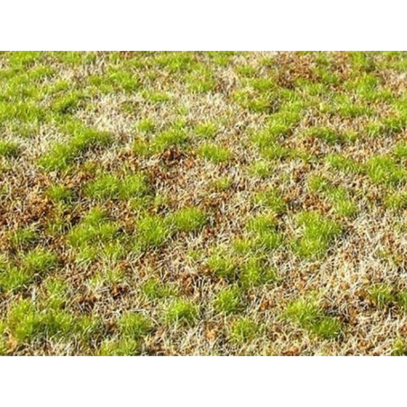 Plaque de terrain diorama Steppe de printemps 23x13 cm - 1/35 - MIG 8353