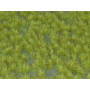 Plaque de terrain diorama Touffes Vert Clair 23x13 cm - 1/35 - MIG 8354
