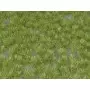 Plaque de terrain diorama Touffes Vert Moyen 23x13 cm - 1/35 - MIG 8355