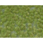 Plaque de terrain diorama Touffes Vert Moyen 23x13 cm - 1/35 - MIG 8355