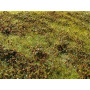 Plaque de terrain diorama Petits buissons d'automne 23x13 cm - 1/35 - MIG 8359