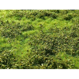 Plaque de terrain diorama Petits buissons de printemps 23x13 cm - 1/35 - MIG 8360
