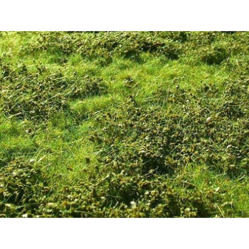 Plaque de terrain diorama Petits buissons de printemps 23x13 cm - 1/35 - MIG 8360