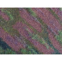 Plaque de terrain diorama Airfield Spring 24x24 cm - 1/35 - MIG 8480