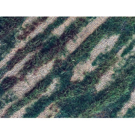 Plaque de terrain diorama Airfield Dry-Summer 24x24 cm - 1/35 - MIG 8481
