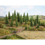 25x sapins 3,5 - 9 cm - N-Z - NOCH 32825