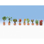 9 plantes d'ornement en pot - N 1/160 - NOCH 14082