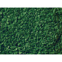 Flocage feuille vert moyen 50g - toutes échelles - NOCH 07144