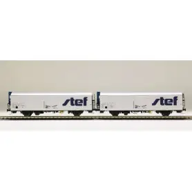 LS Models 30231 - Coffret de 2 wagons lbbghs nouveau logo STEF décentré SNCF époque V - HO