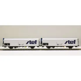 LS Models 30239 - Coffret de 2 wagons lbbghs nouveau logo STEF décentré SNCF époque V - HO