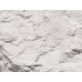 Teinte à décor Earth Colors blanche 118 ml - Woodland Scenics C1216