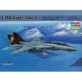 F-14D Super Tomcat - échelle 1/48 - HOBBY BOSS 80368