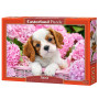 Pup in Pink Flowers - Puzzle 500 pièces - CASTORLAND