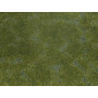 Tapis Feuillage couvre-sol vert foncé 12 x 18 cm - HO 1/87 - NOCH 07252