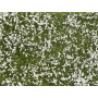 Tapis Feuillage couvre-sol prairie fleurs blanches 12 x 18 cm - HO 1/87 - NOCH 07256