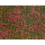 Tapis Feuillage couvre-sol prairie fleurs rouge 12 x 18 cm - HO 1/87 - NOCH 07257