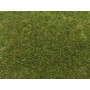 Flocage fibre herbe vert moyen 9 mm 50g - toutes échelles - NOCH 07118