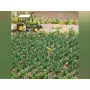 Plants de pommes de terre - HO 1/87 - BUSCH 1266