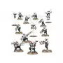 Pathfinder Team T