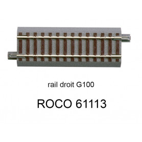 Rail droit G100 100 mm voie Geoline HO - ROCO 61113