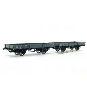 Set de 2x Plat OCEM 29 Gris PLM ép II - HO 1/87 - REE WB-600