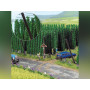 Champs de houblon - BUSCH 1215