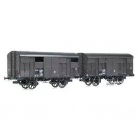 2x Primeurs ex-couverts 20T, SNCF Ep.IIIa - HO 1/87 - REE WB-737