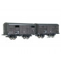 2x Primeurs ex-couverts 20T, SNCF Ep.IIIa - HO 1/87 - REE WB-737